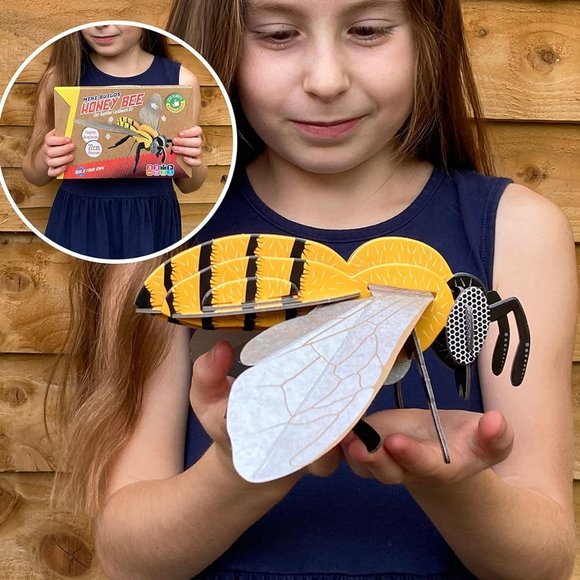 NEW DIY HONEY BEE MODEL Flapping Wing Eco Friendly Cardboard Craft Kit 3D Puzzle - Picture 1 of 16